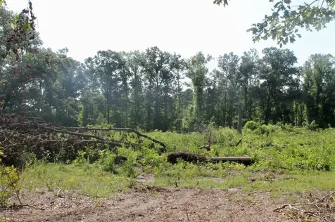 Laurinburg Road Highway S Raeford NC 28376