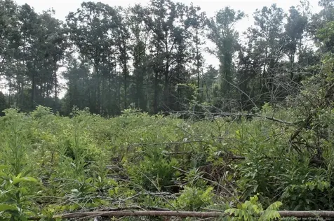 Laurinburg Road Highway S Raeford NC 28376