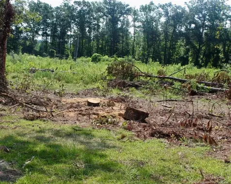 Laurinburg Road Highway S Raeford NC 28376