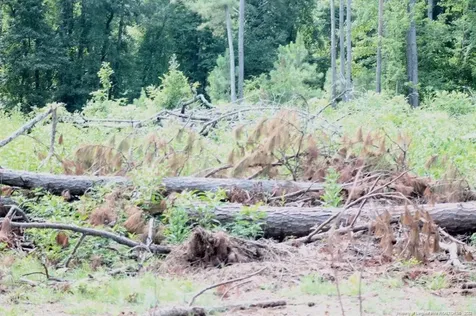 Laurinburg Road Highway S Raeford NC 28376