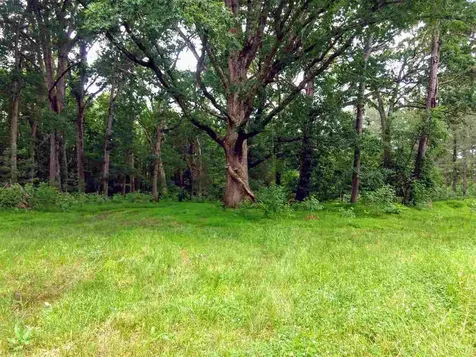 95 Old Poplar Creek Road Henderson NC 27537