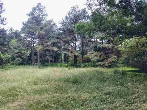 95 Old Poplar Creek Road Henderson NC 27537