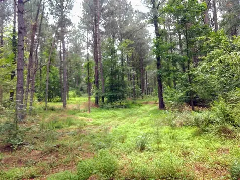 95 Old Poplar Creek Road Henderson NC 27537