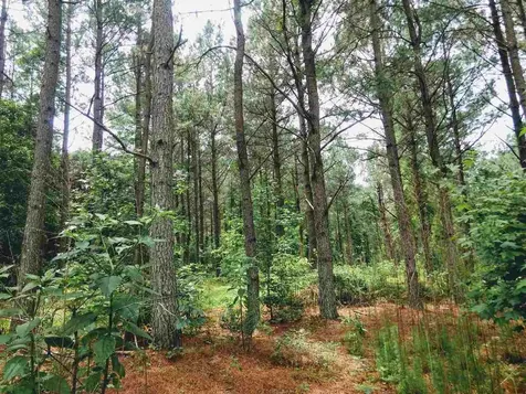 95 Old Poplar Creek Road Henderson NC 27537