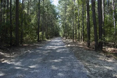 00 Vick Road Spring Hope NC 27882