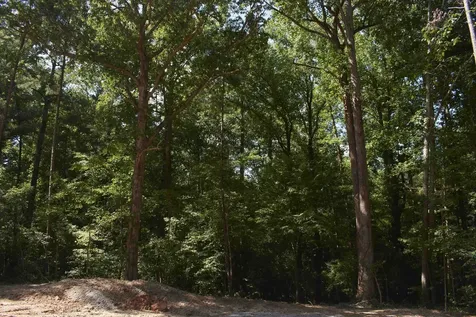 00 Vick Road Spring Hope NC 27882