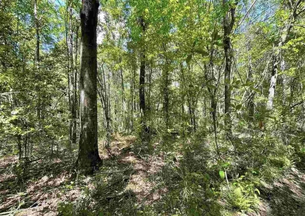 1183 W Blackman Road Dunn NC 28334