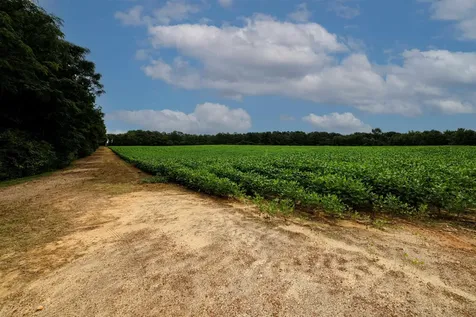 00 S Nc 581 Highway Bailey NC 27807