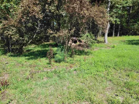 4001 Arlington Street Rocky Mount NC 27807