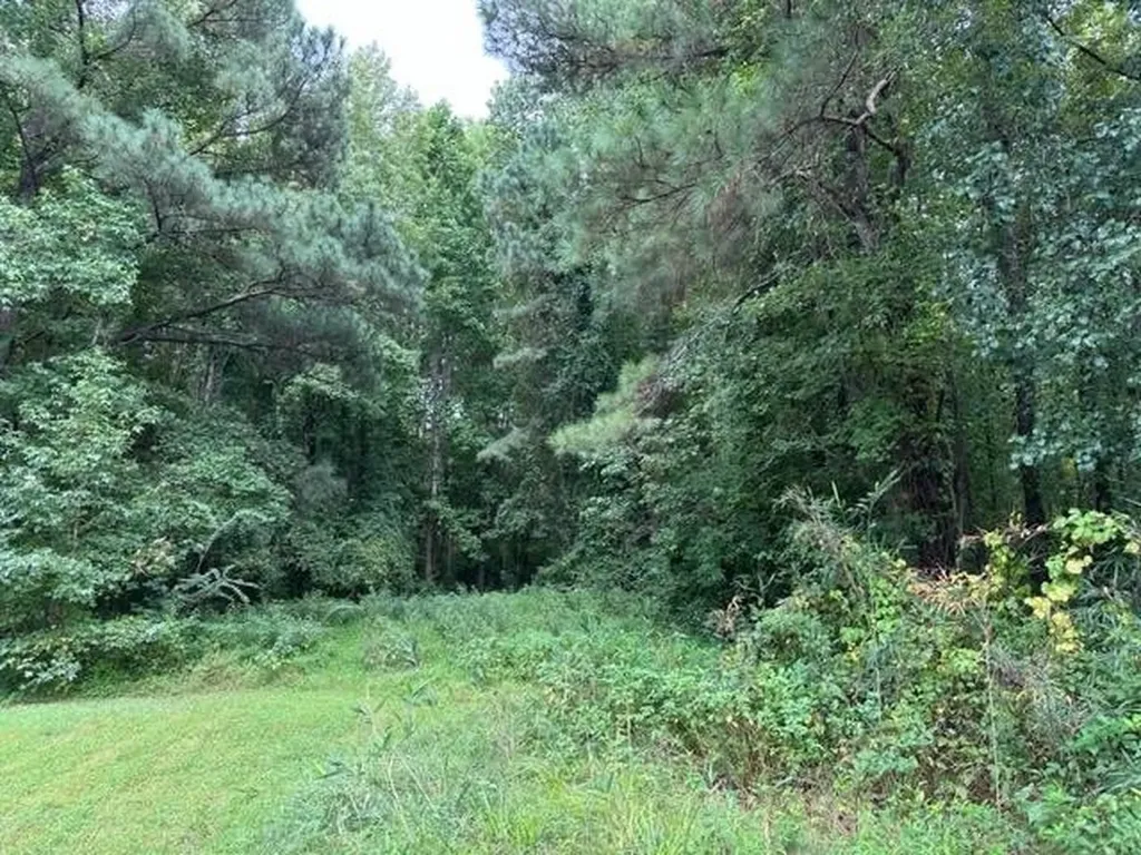 0 E Cardinal Drive Fuquay Varina NC 27526