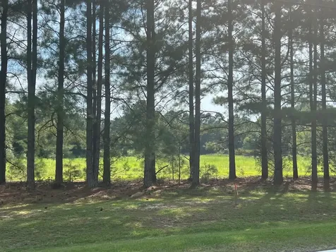 3466 Matthews Mill Pond Road Angier NC 27501