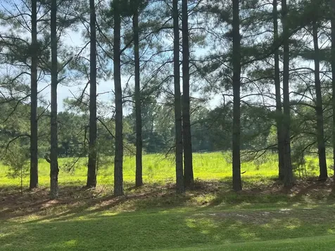 3466 Matthews Mill Pond Road Angier NC 27501