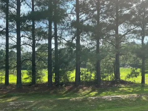 3466 Matthews Mill Pond Road Angier NC 27501