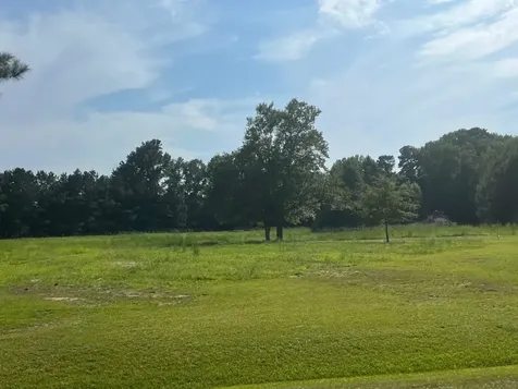 3466 Matthews Mill Pond Road Angier NC 27501