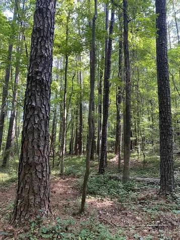 0 Old Stage Road Garner NC 27529