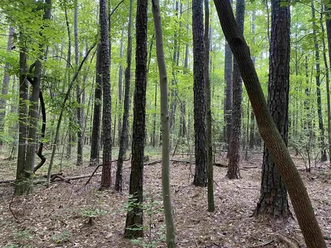 0 Old Stage Road Garner NC 27529