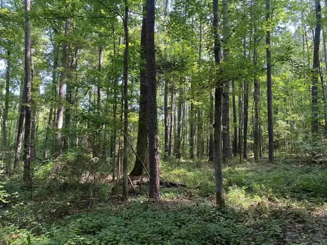 0 Old Stage Road Garner NC 27529