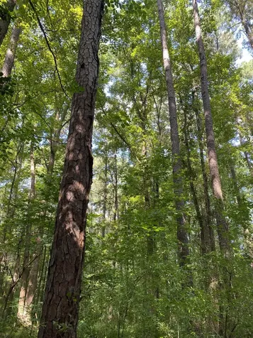 0 Old Stage Road Garner NC 27529