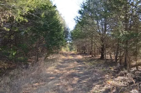 3129 Montague Centre Road Oxford NC 27565