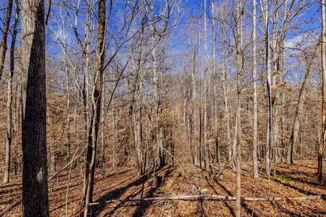 Lot #7a Deer Meadow Road Leasburg NC 27291