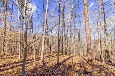 Lot #7a Deer Meadow Road Leasburg NC 27291