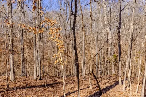 Lot #7a Deer Meadow Road Leasburg NC 27291