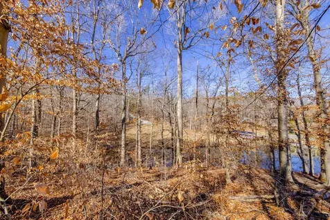 Lot #6 Deer Meadow Road Leasburg NC 27291
