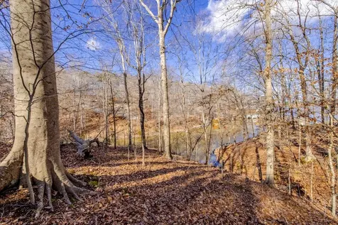 Lot #6 Deer Meadow Road Leasburg NC 27291
