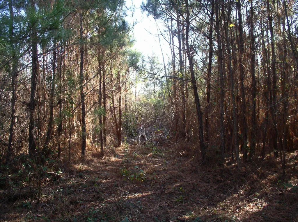 Luna Road Warrenton NC 27589