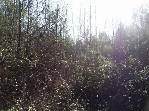 Luna Road Warrenton NC 27589