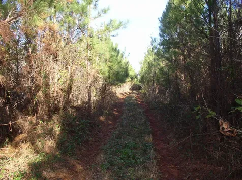 Luna Road Warrenton NC 27589