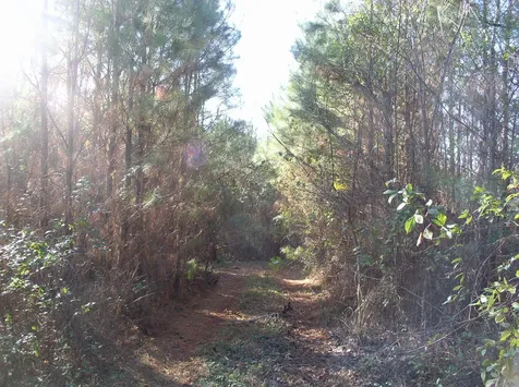 Luna Road Warrenton NC 27589