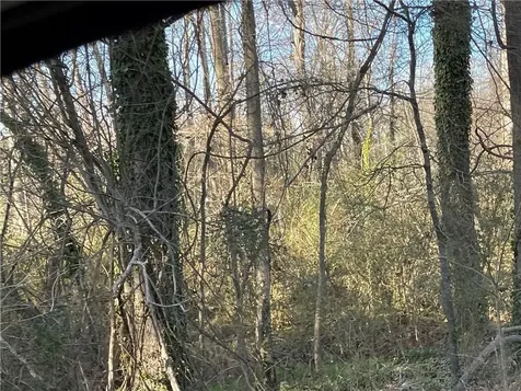3605 W Ten Road Efland NC 27243