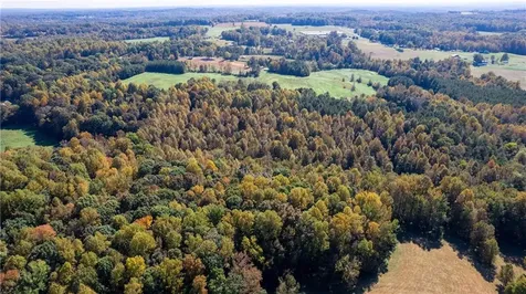 3001 Headen Country Trail Staley NC 27355