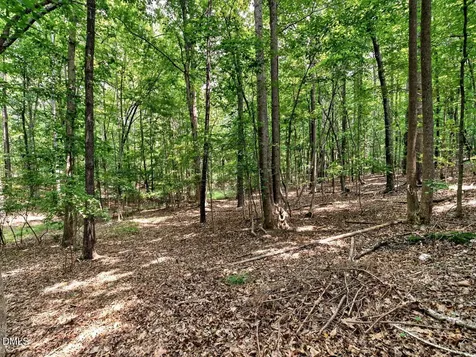 1514 Anterra Drive Wake Forest NC 27587