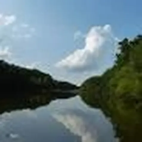 279 Galway Road Lillington NC 27546