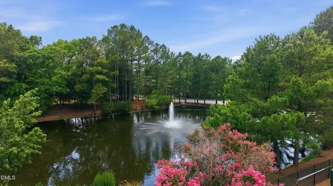 30059 Benbury Chapel Hill NC 27517