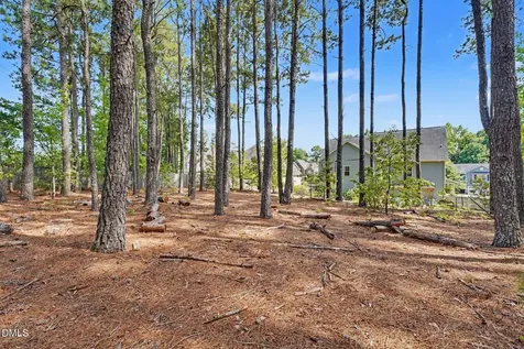 8617 Malahar Lane Angier NC 27501