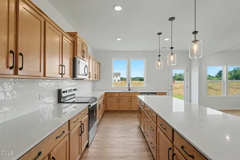 73 Cedarbranch Way Erwin NC 28339