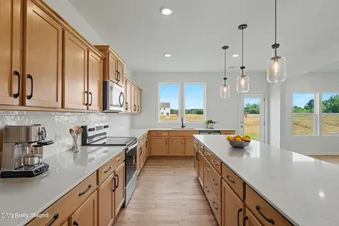 73 Cedarbranch Way Erwin NC 28339