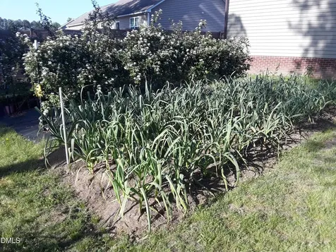 258 Country Day Circle Selma NC 27576