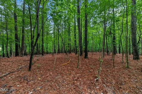 65 Summit Ridge Court Youngsville NC 27596