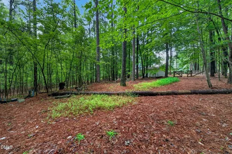 65 Summit Ridge Court Youngsville NC 27596