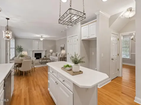 3304 Drexel Hill Court Apex NC 27539