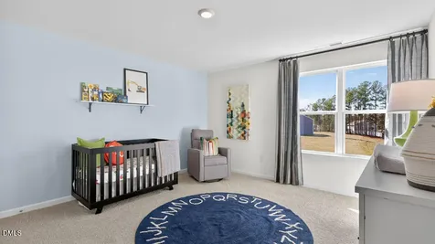 85 Richmond Run Stem NC 27581
