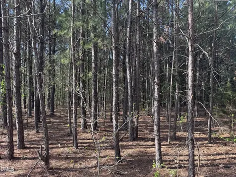 00 S Old Carriage Road Rocky Mount NC 27803