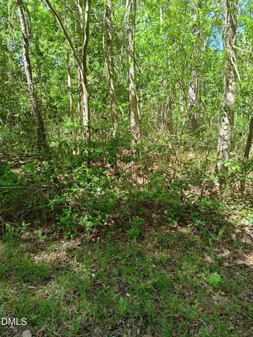 859 Bob White Drive Vass NC 28394