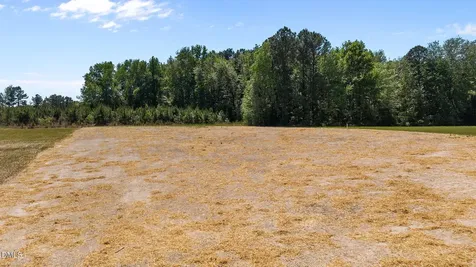173 Little Lady Trail Zebulon NC 27597