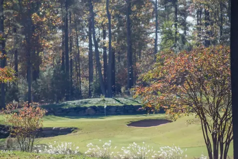 64 Mist Wood Court Pittsboro NC 27312