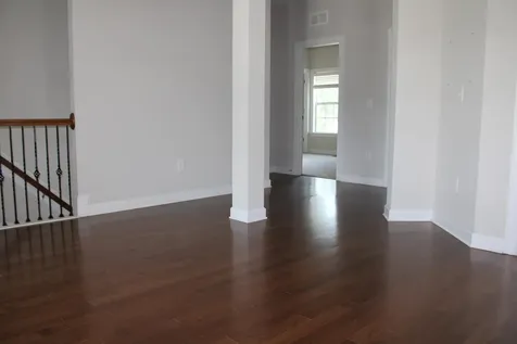 241 Vinewood Place Holly Springs NC 27540